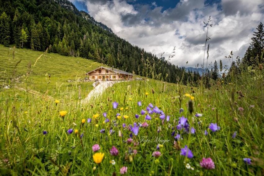 Вілла Hinterkeilhof Бішофсвізен Екстер'єр фото